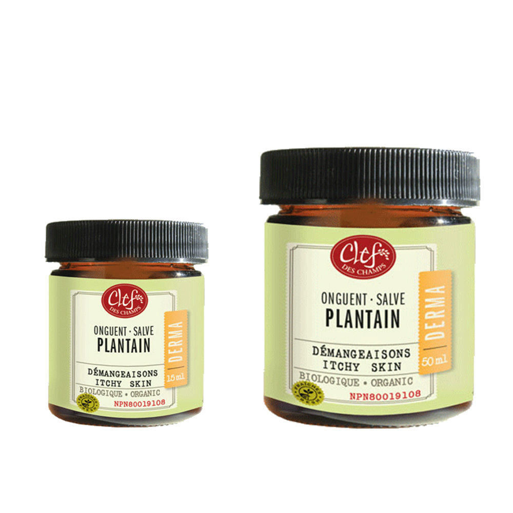 Onguent de plantain