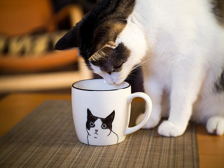 Tasse Félix le chat