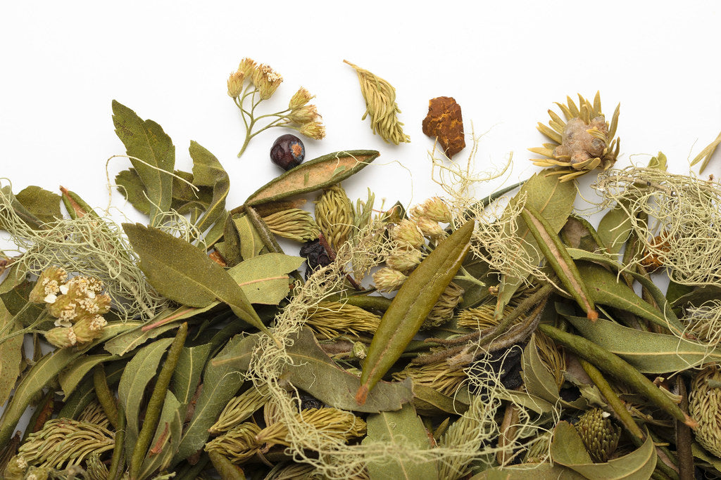 La Taïga Sauvage (sac de 20g)