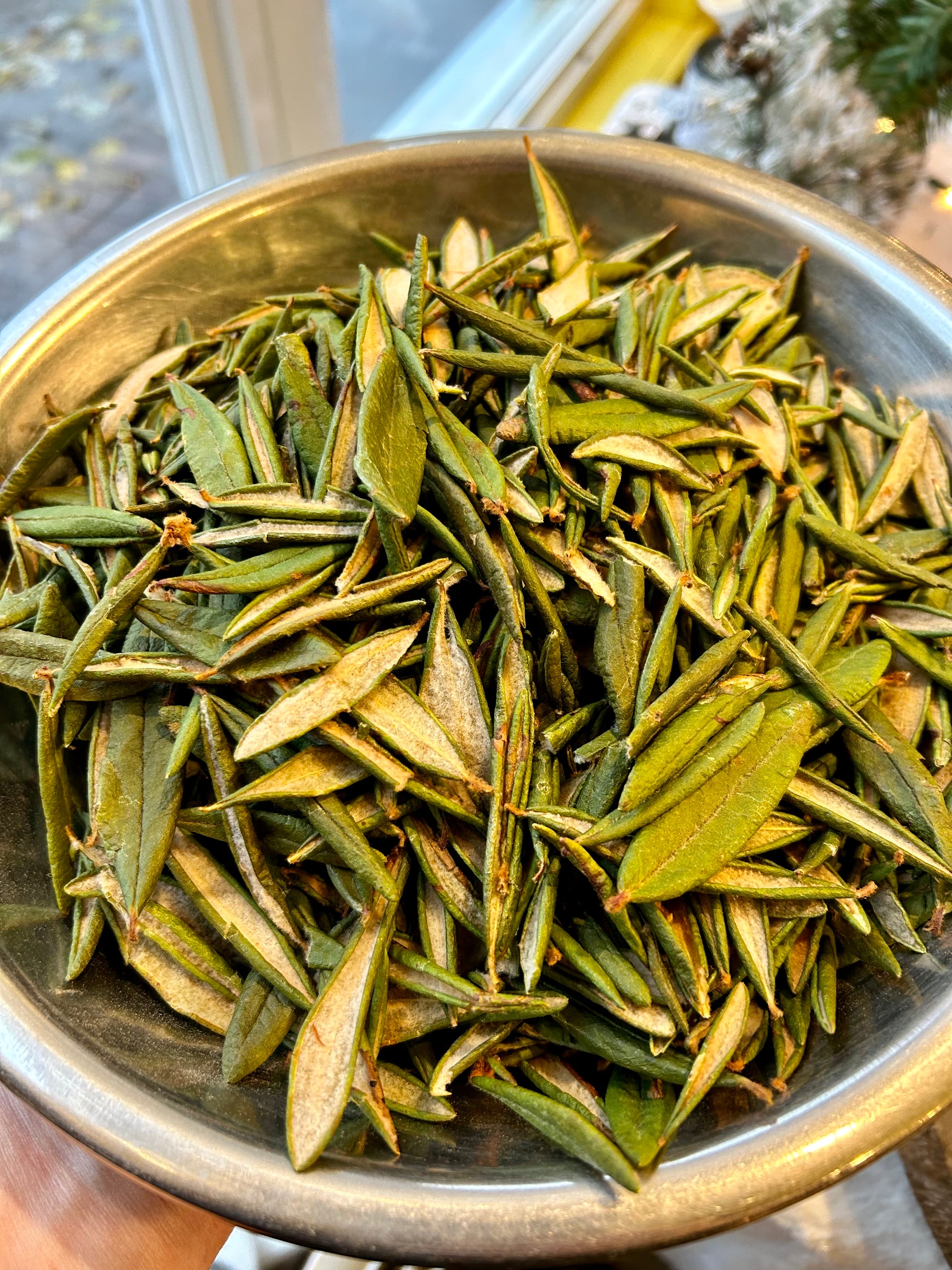 Thé du labrador 20g