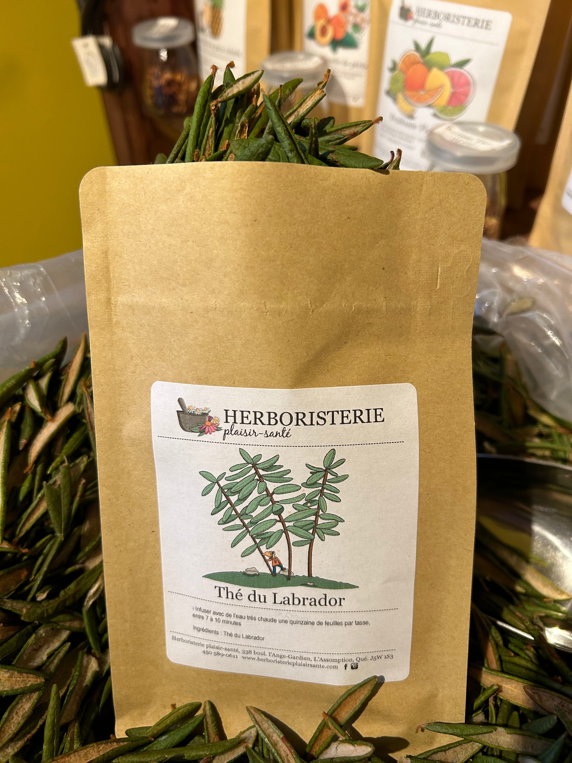 Thé du labrador 20g