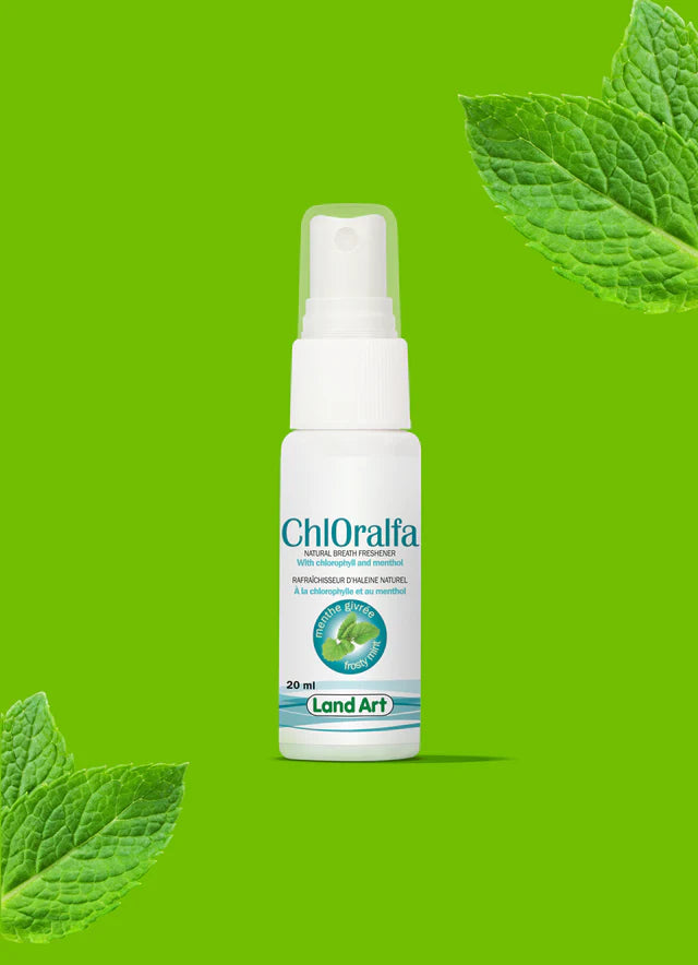 Chloralfa | Rafraîchisseur d'haleine tout naturel | Menthe