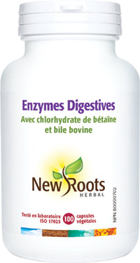 Enzymes Digestives