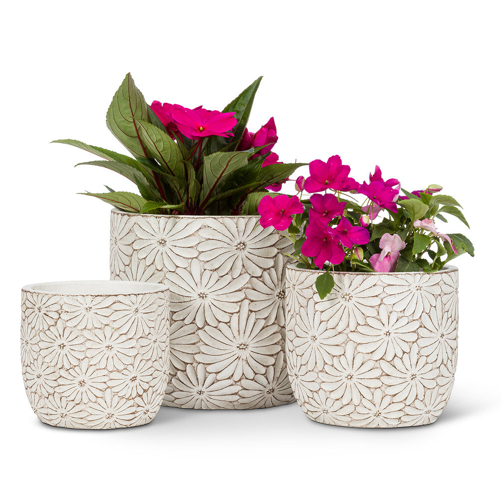 Le joli pot marguerite