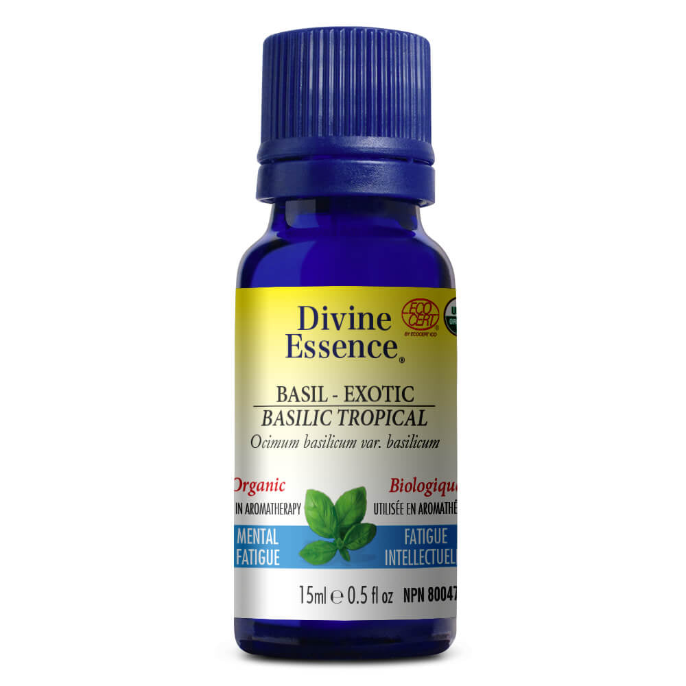 Basilic Tropical