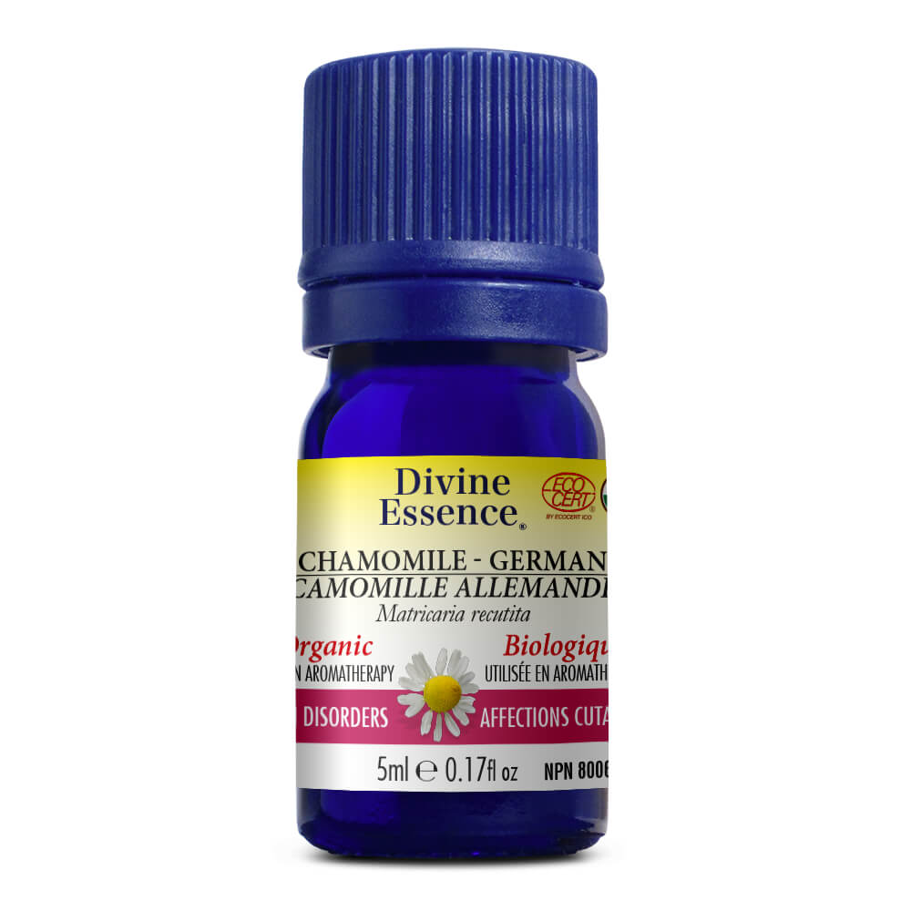 Camomille allemande