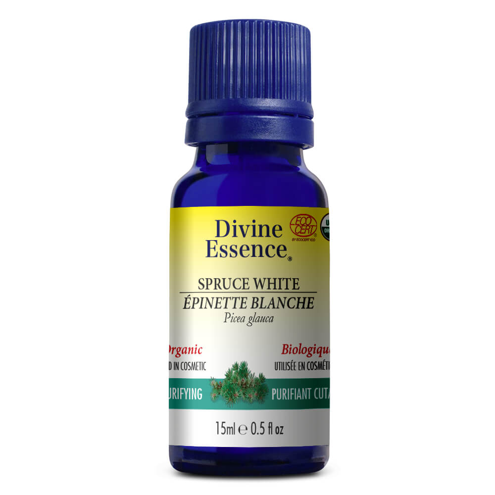 Épinette blanche