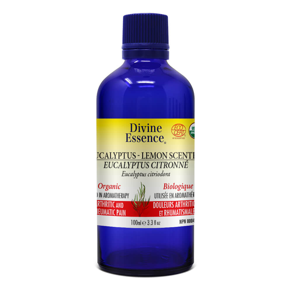Eucalyptus citronné