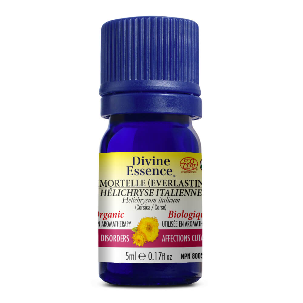 Hélychrise italienne (Immortelle)