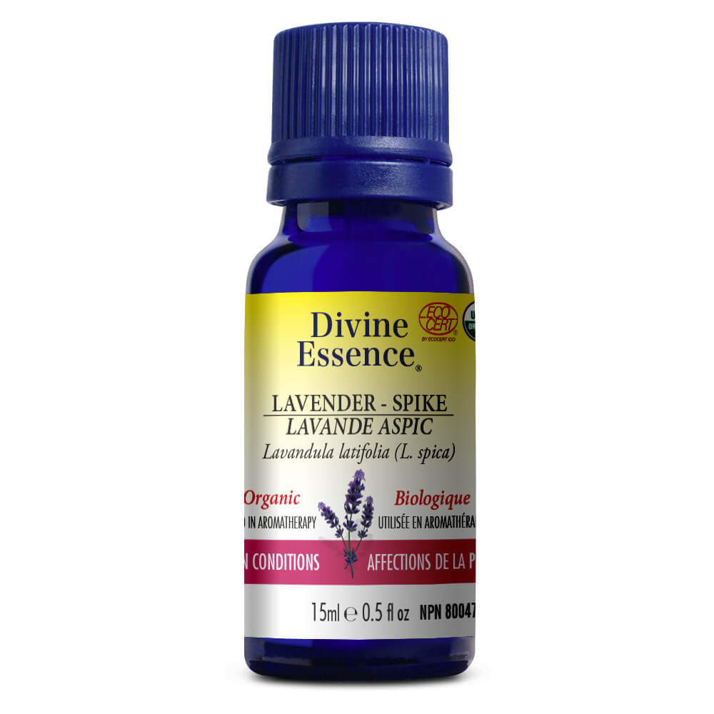 Lavande Aspic Biologique