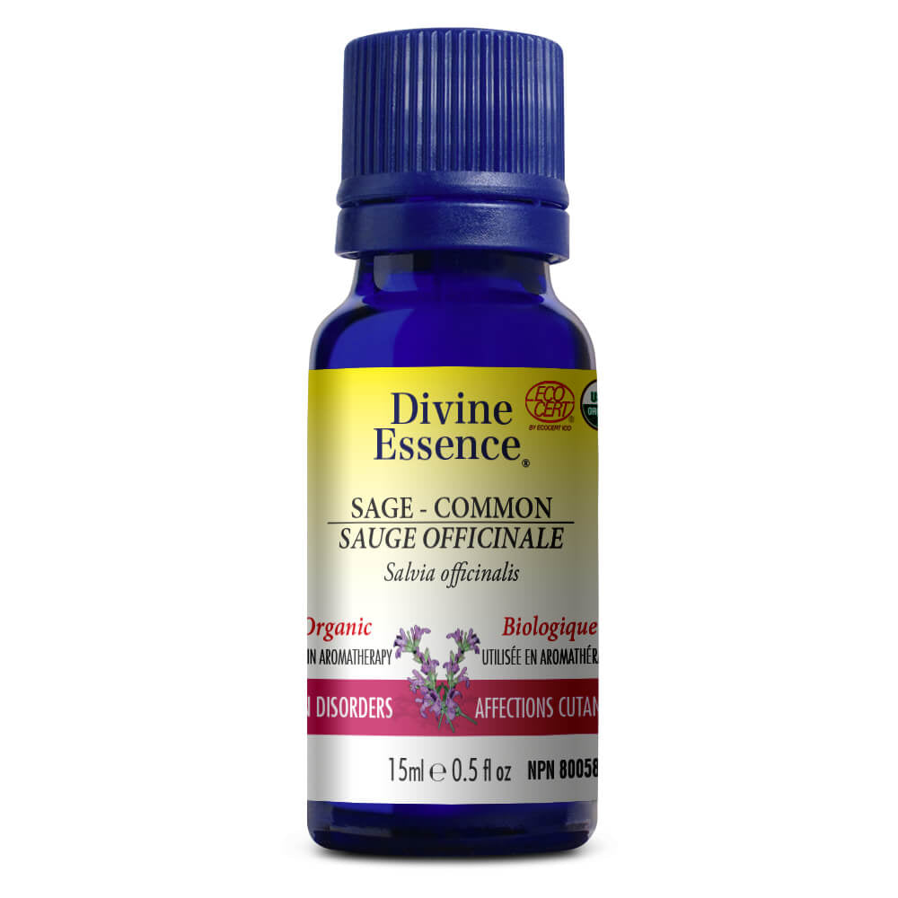 Sauge officinale