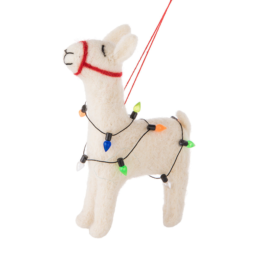 Lama de laine