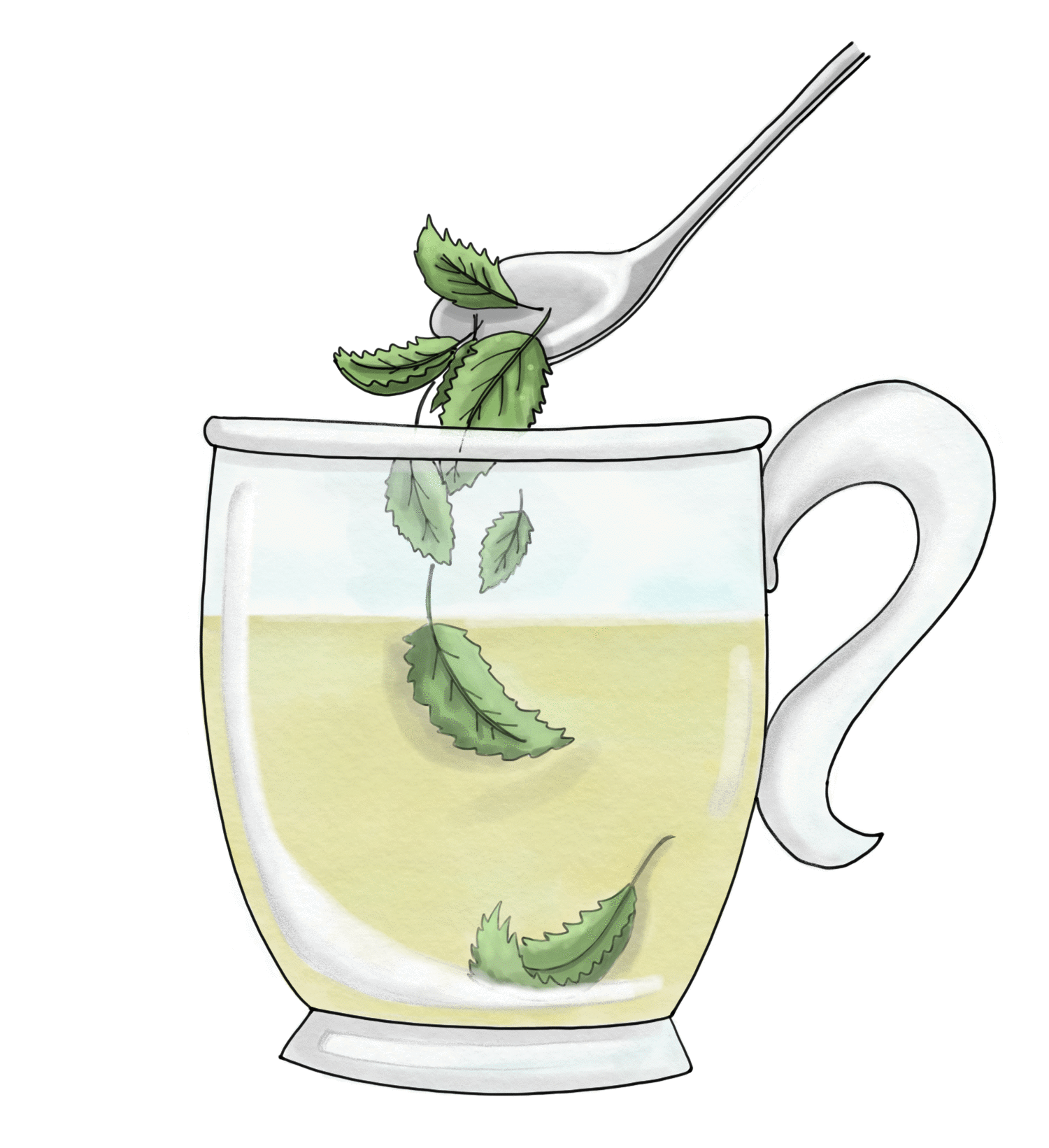 Tisane Digestive