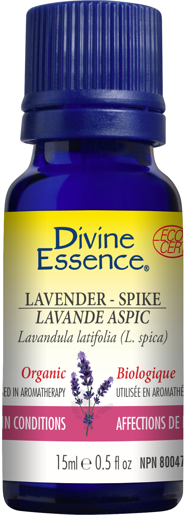 Lavande Aspic 15 ml
