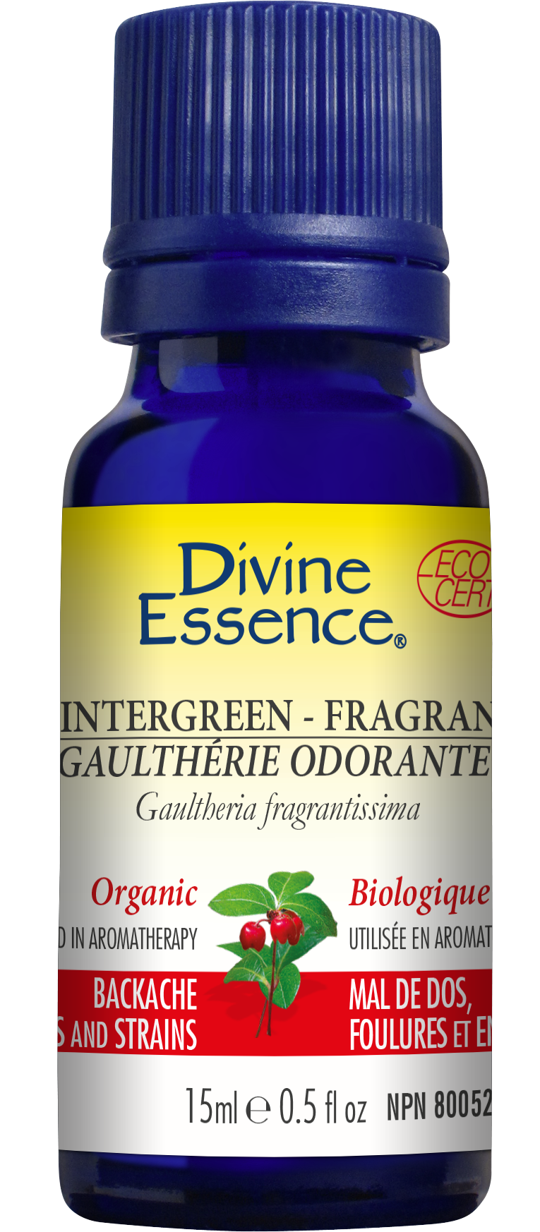 Gaulthérie Odorante 15 ml