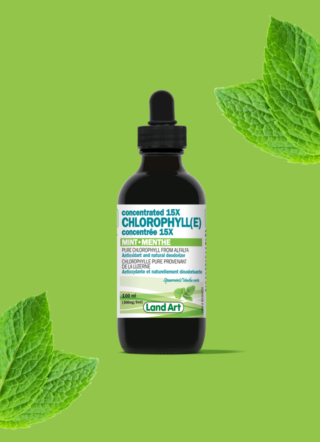 Chlorophylle 15x-menthe-100ml