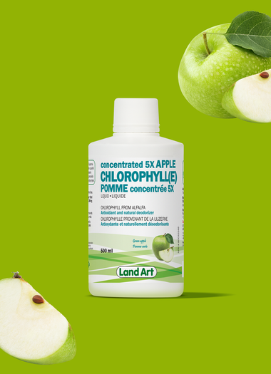 Chlorophylle pomme 5x-500ml