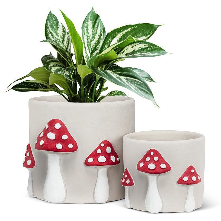 Pot- champignons rouge