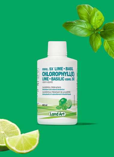 Chlorophylle lime-basilic 5x-500ml