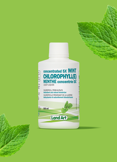 Chlorophylle menthe 5x -500ml