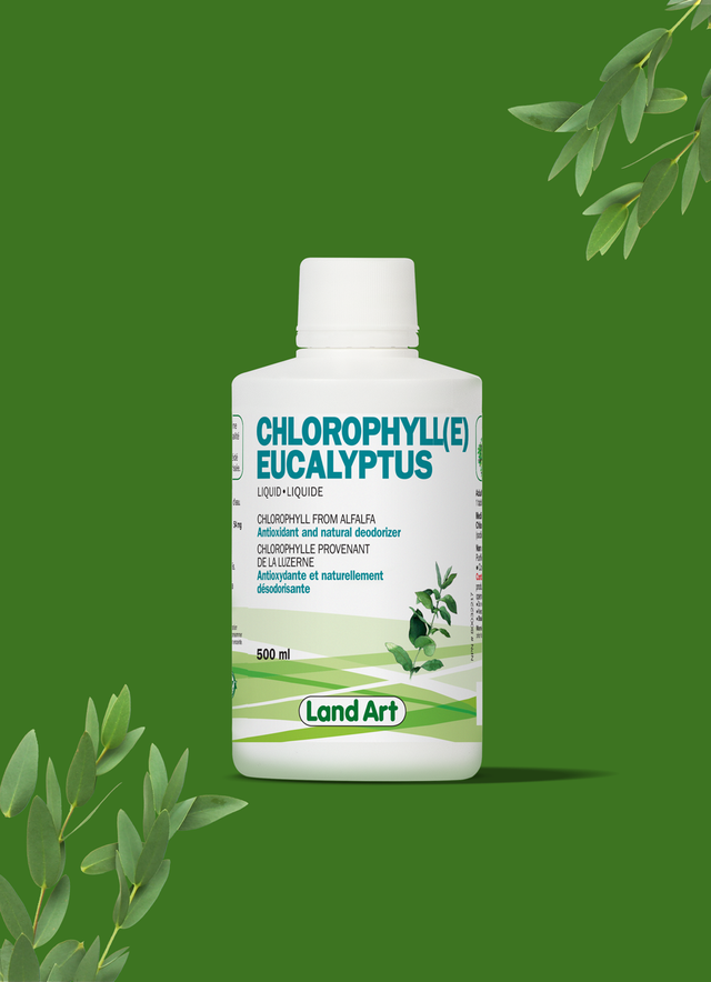 Chlorophylle Eucalyptus 500ml
