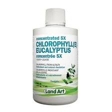 Chlorophylle Eucalyptus 5 x 500 ml