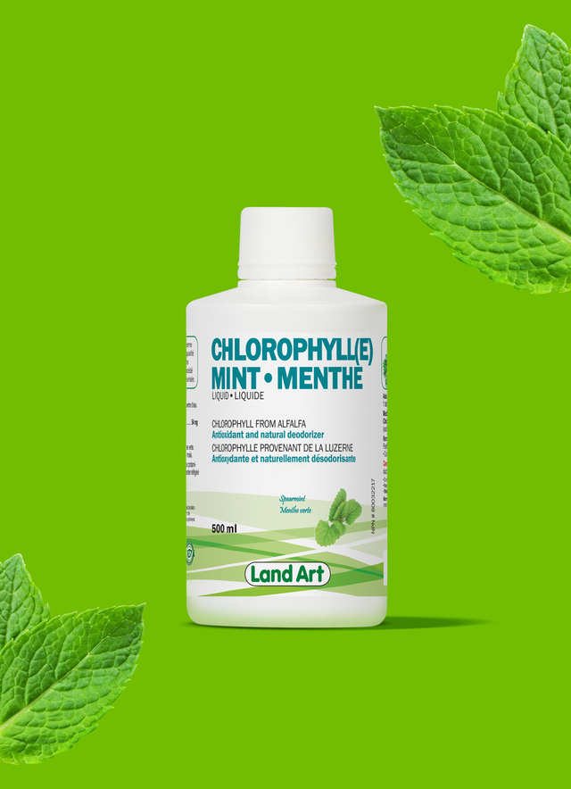 Chlorophylle menthe 500ml